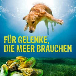 Boehringer Ingelheim Canosan Für Hunde -Tier Kost Welt Geschaft canosan hund boehringer ingelheim6