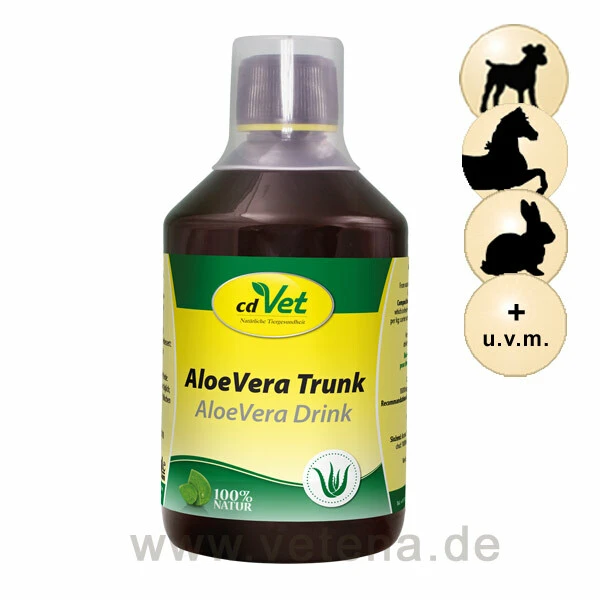 CdVet AloeVera Trunk 1 CdVet AloeVera Trunk