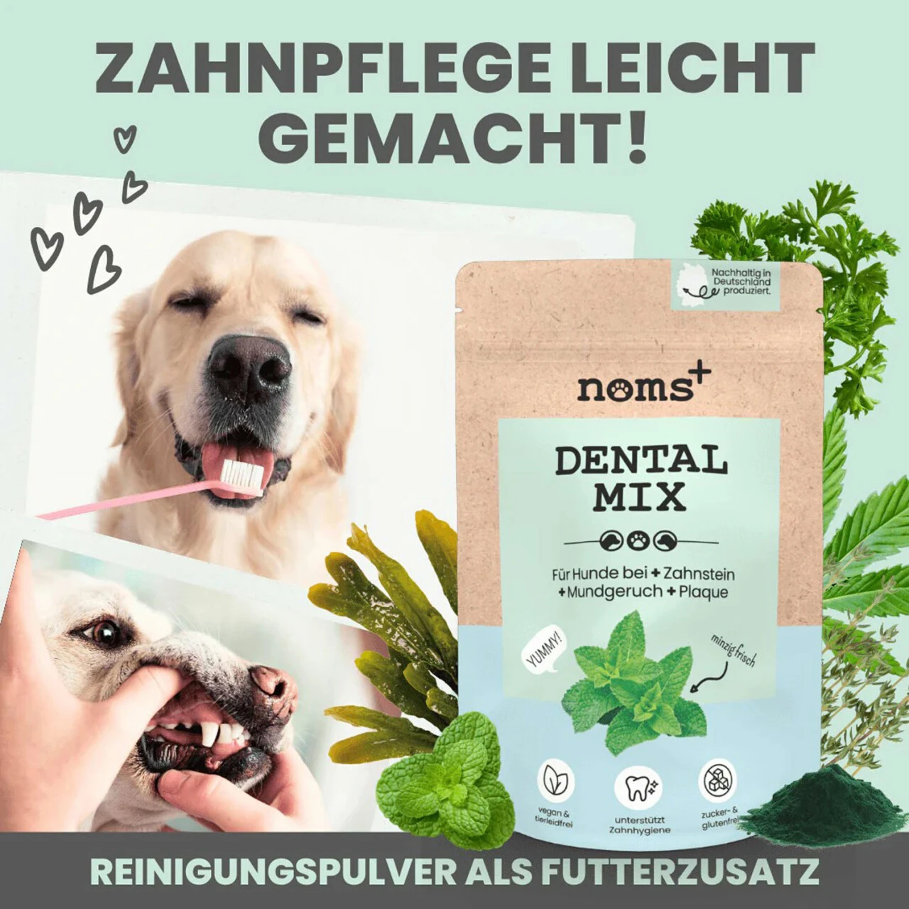 Noms+ Dentalmix Für Hunde 3 Noms+ Dentalmix Für Hunde – Bild 3