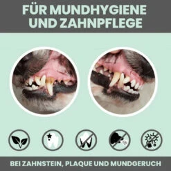 Noms+ Dentalmix Für Hunde 11 Noms+ Dentalmix Für Hunde -Tier Kost Welt Geschaft nomsplus dentalmix hunde5