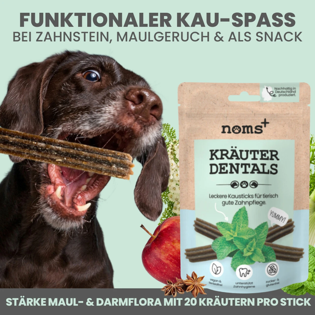 Noms+ Kräuter Dentals Für Hunde 3 Noms+ Kräuter Dentals Für Hunde – Bild 3
