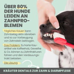 Noms+ Kräuter Dentals Für Hunde 7 Noms+ Kräuter Dentals Für Hunde -Tier Kost Welt Geschaft nomsplus kraeuter dentals hunde4