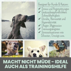 Noms+ Wohlfühltabs Für Hunde & Katzen -Tier Kost Welt Geschaft nomsplus wohlfuehltabs hund katze6
