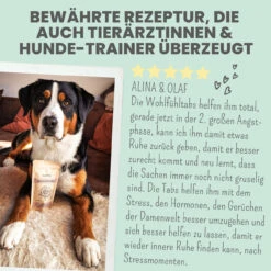 Noms+ Wohlfühltabs Für Hunde & Katzen -Tier Kost Welt Geschaft nomsplus wohlfuehltabs hund katze7
