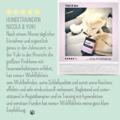 Noms+ Wohlfühltabs Für Hunde & Katzen -Tier Kost Welt Geschaft nomsplus wohlfuehltabs hund katze9