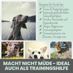 Noms+ Wohlfühlsnacks Für Hunde 13 Noms+ Wohlfühlsnacks Für Hunde -Tier Kost Welt Geschaft nomsplus wohlfuehltabs hund katze 15