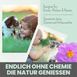 Noms+ Zistrosen Tabs Für Hunde & Katzen -Tier Kost Welt Geschaft nomsplus zistrosen tabs hunde katzen5