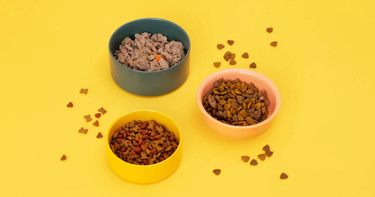 Tier Kost Welt Geschaft -Tier Kost Welt Geschaft qqt