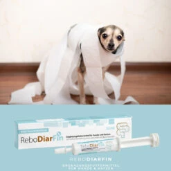 ReboVet ReboDiarFin Für Hunde & Katzen -Tier Kost Welt Geschaft rebodiarfin hund katze4