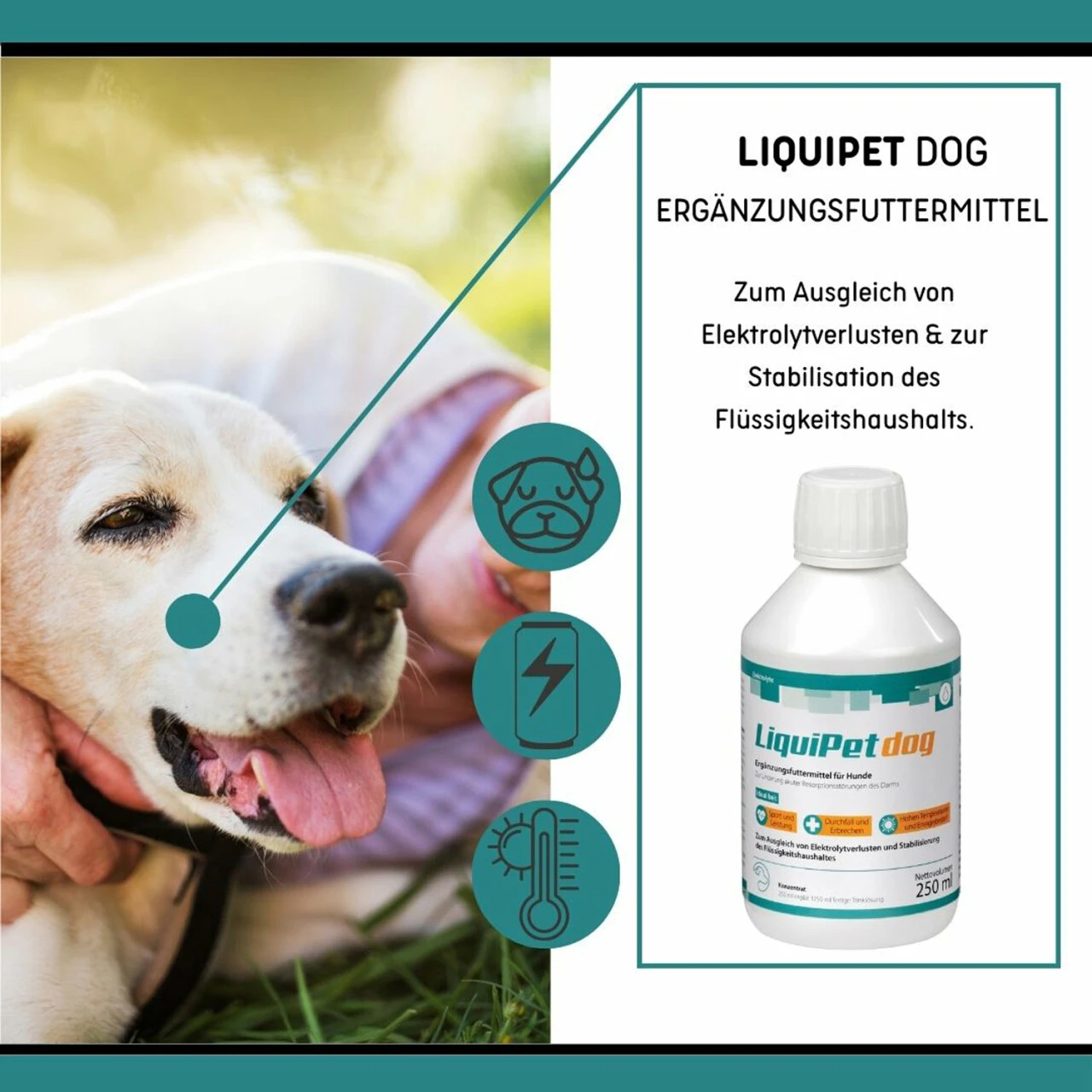 ReboVet LiquiPet Dog Für Hunde 4 ReboVet LiquiPet Dog Für Hunde – Bild 4