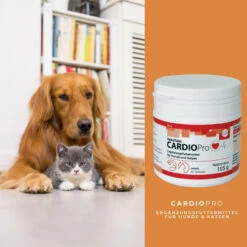ReboTabs CARDIOPro Für Hunde & Katzen 7 ReboTabs CARDIOPro Für Hunde & Katzen -Tier Kost Welt Geschaft rebotabs cardiopro4