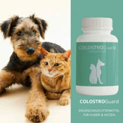 ReboTabs COLOSTROGuard Für Hunde & Katzen -Tier Kost Welt Geschaft rebotabs colostroguard3