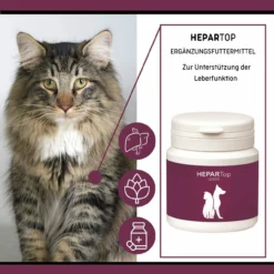 ReboTabs HEPARTop Für Hunde 9 ReboTabs HEPARTop Für Hunde -Tier Kost Welt Geschaft rebotabs hepartop4