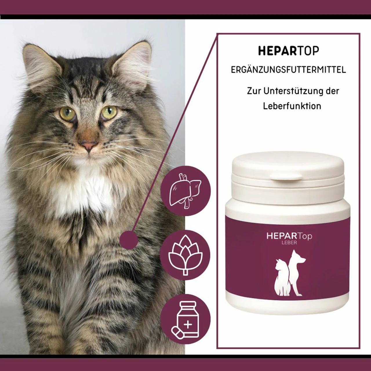 ReboTabs HEPARTop Für Hunde 4 ReboTabs HEPARTop Für Hunde – Bild 4