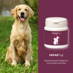 ReboTabs HEPARTop Für Hunde 10 ReboTabs HEPARTop Für Hunde -Tier Kost Welt Geschaft rebotabs hepartop5