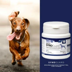 ReboTabs SYNOGuard Für Hunde -Tier Kost Welt Geschaft rebotabs synoguard hund4