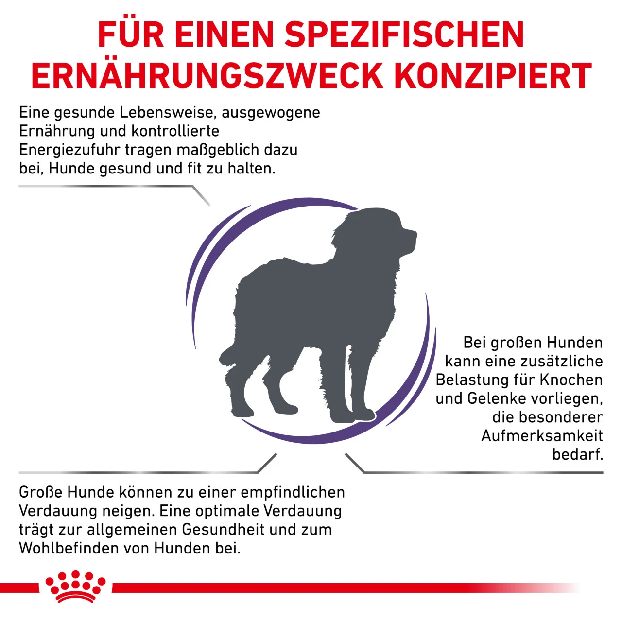 Royal Canin Expert Adult Large Dogs Trockenfutter Für Hunde 3 Royal Canin Expert Adult Large Dogs Trockenfutter Für Hunde – Bild 3