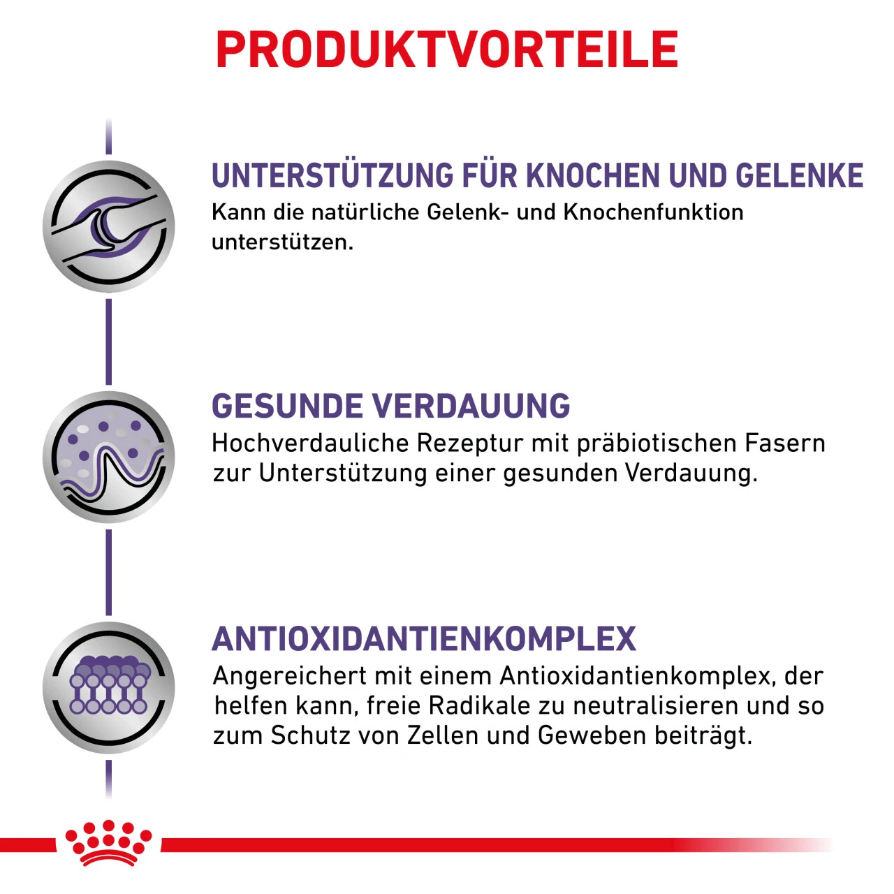 Royal Canin Expert Adult Large Dogs Trockenfutter Für Hunde 5 Royal Canin Expert Adult Large Dogs Trockenfutter Für Hunde – Bild 5