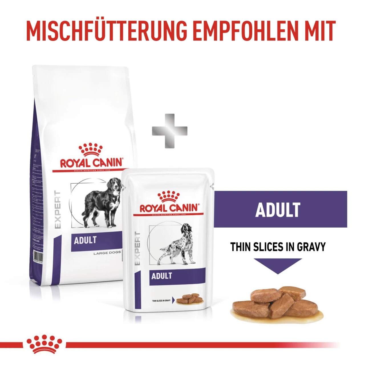 Royal Canin Expert Adult Large Dogs Trockenfutter Für Hunde 8 Royal Canin Expert Adult Large Dogs Trockenfutter Für Hunde – Bild 8