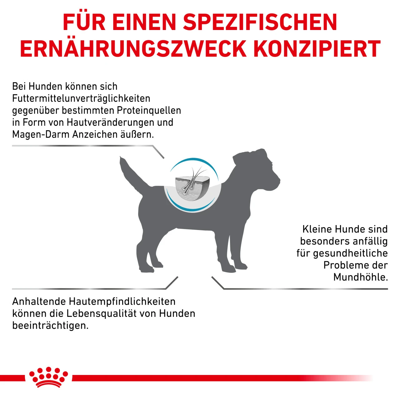 Royal Canin Anallergenic Small Dogs Trockenfutter Für Hunde 4 Royal Canin Anallergenic Small Dogs Trockenfutter Für Hunde – Bild 4