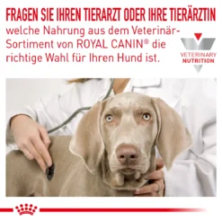 Royal Canin Anallergenic Small Dogs Trockenfutter Für Hunde 13 Royal Canin Anallergenic Small Dogs Trockenfutter Für Hunde -Tier Kost Welt Geschaft royal canin anallergenic small dogs trockenfutter hund7