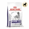 Royal Canin Expert Dental Medium & Large Dogs Trockenfutter Für Hunde