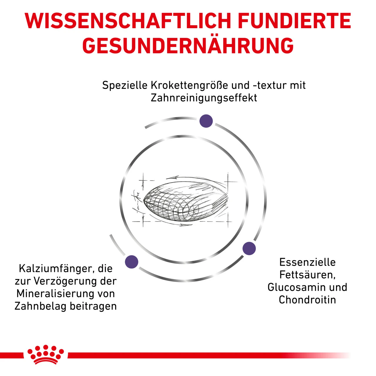 Royal Canin Expert Dental Medium & Large Dogs Trockenfutter Für Hunde 3 Royal Canin Expert Dental Medium & Large Dogs Trockenfutter Für Hunde – Bild 3