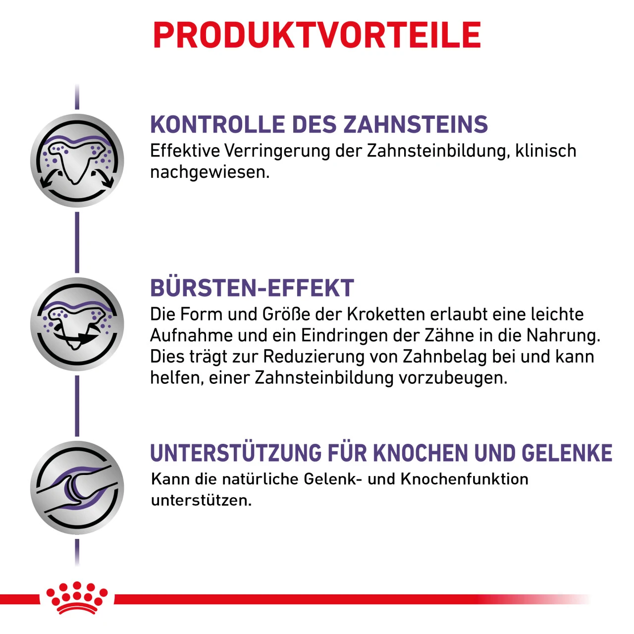 Royal Canin Expert Dental Medium & Large Dogs Trockenfutter Für Hunde 4 Royal Canin Expert Dental Medium & Large Dogs Trockenfutter Für Hunde – Bild 4