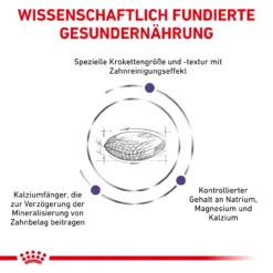 Royal Canin Expert Dental Small Dogs Trockenfutter Für Hunde -Tier Kost Welt Geschaft royal canin dental small dogs4