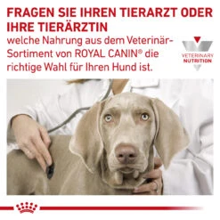 Royal Canin Gastrointestinal High Fibre Trockenfutter Für Hunde -Tier Kost Welt Geschaft royal canin gastro intestinal high fibre hund9