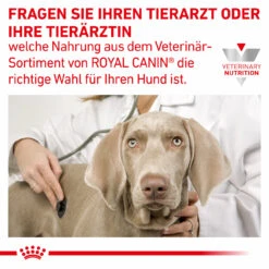 Royal Canin Gastrointestinal Moderate Calorie Trockenfutter Für Hunde -Tier Kost Welt Geschaft royal canin gastro intestinal moderate calorie hund8