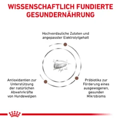 Royal Canin Gastrointestinal Puppy Trockenfutter Für Hunde -Tier Kost Welt Geschaft royal canin gastro intestinal puppy trocken hund6