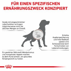 Tier Kost Welt Geschaft -Tier Kost Welt Geschaft royal canin hepatic trocken hund2