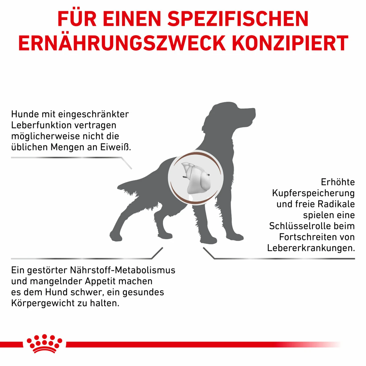 Royal Canin Hepatic Trockenfutter Für Hunde 2 Royal Canin Hepatic Trockenfutter Für Hunde – Bild 2