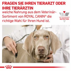 Royal Canin Hepatic Trockenfutter Für Hunde 15 Royal Canin Hepatic Trockenfutter Für Hunde -Tier Kost Welt Geschaft royal canin hepatic trocken hund8