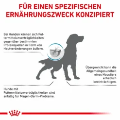 Royal Canin Hypoallergenic Moderate Calorie Trockenfutter Für Hunde -Tier Kost Welt Geschaft royal canin hypoallergenic moderate calorie hund7