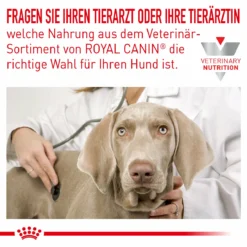 Royal Canin Hypoallergenic Small Dogs Trockenfutter Für Hunde -Tier Kost Welt Geschaft royal canin hypoallergenic small dogs hund3