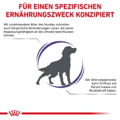 Royal Canin Expert Mature Consult Medium Dogs Trockenfutter Für Hunde -Tier Kost Welt Geschaft royal canin mature consult medium dogs hund3