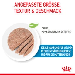 Royal Canin Starter Mousse Mother & Babydog Nassfutter Für Hunde -Tier Kost Welt Geschaft royal canin starter mousse mother babydog hund4