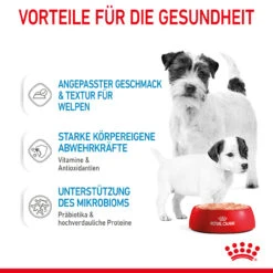 Royal Canin Starter Mousse Mother & Babydog Nassfutter Für Hunde -Tier Kost Welt Geschaft royal canin starter mousse mother babydog hund5