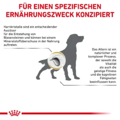 Royal Canin Urinary S/O Ageing 7+ Trockenfutter Für Hunde -Tier Kost Welt Geschaft royal canin urinary s o ageing 7 trocken hund5