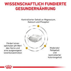 Royal Canin Urinary S/O Moderate Calorie Trockenfutter Für Hunde 12 Royal Canin Urinary S/O Moderate Calorie Trockenfutter Für Hunde -Tier Kost Welt Geschaft royal canin urinary s o moderate calorie trocken hund4