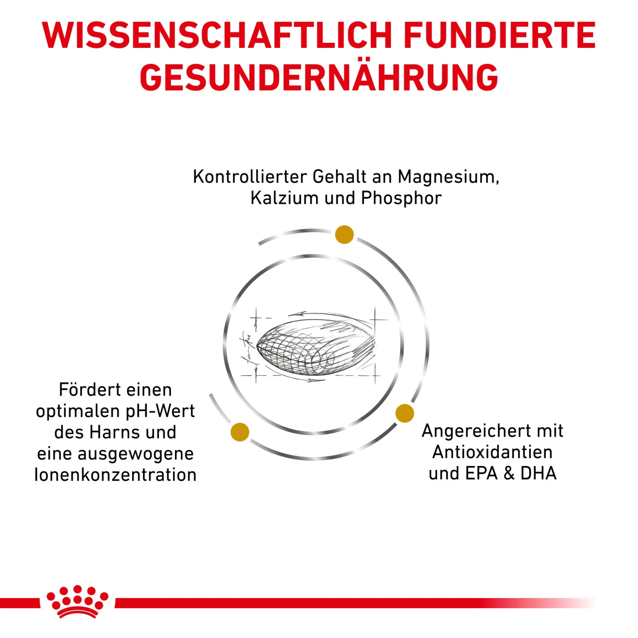 Royal Canin Urinary S/O Trockenfutter Für Hunde 4 Royal Canin Urinary S/O Trockenfutter Für Hunde – Bild 4