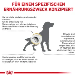 Royal Canin Urinary S/O Trockenfutter Für Hunde 14 Royal Canin Urinary S/O Trockenfutter Für Hunde -Tier Kost Welt Geschaft royal canin urinary s o trocken hund6