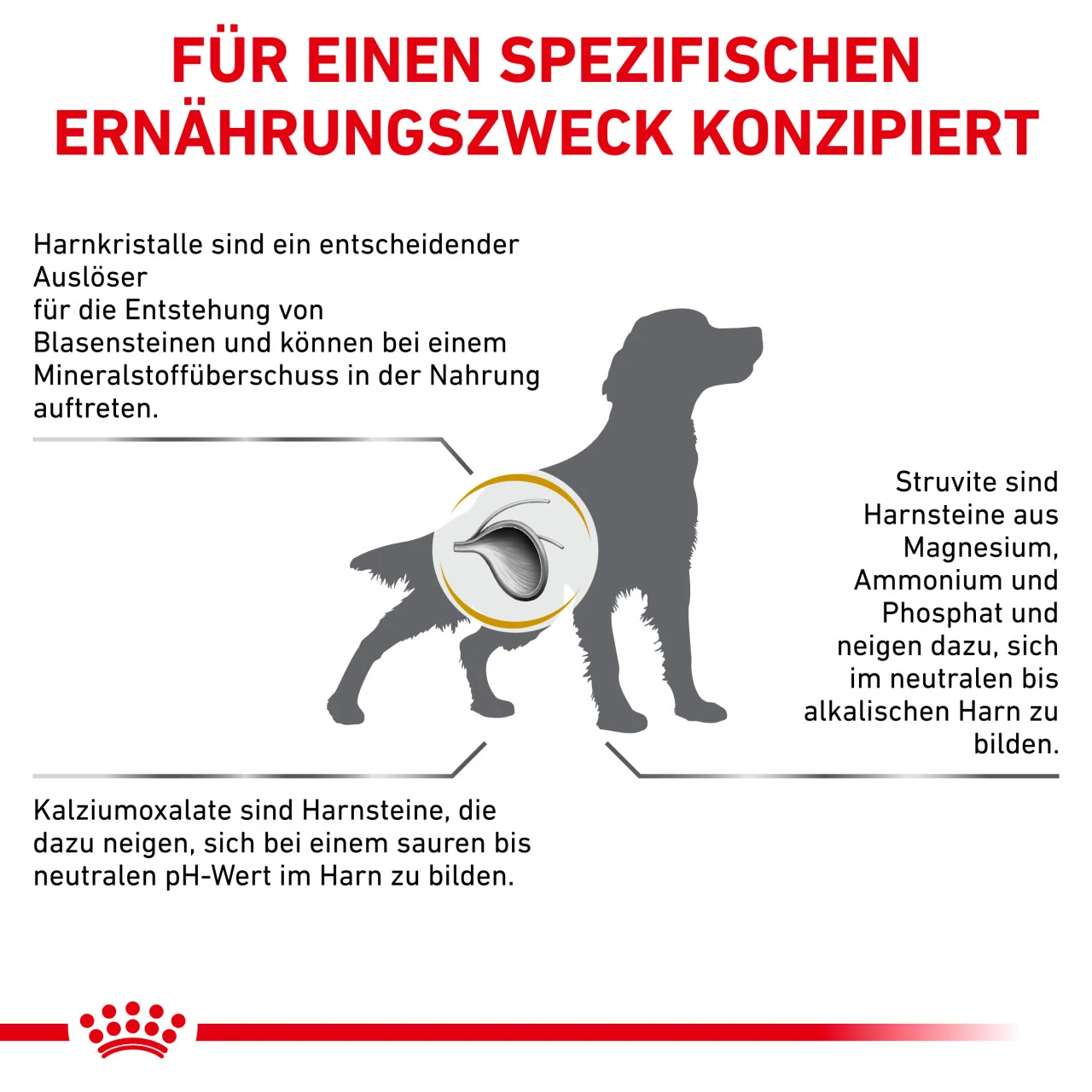 Royal Canin Urinary S/O Trockenfutter Für Hunde 6 Royal Canin Urinary S/O Trockenfutter Für Hunde – Bild 6