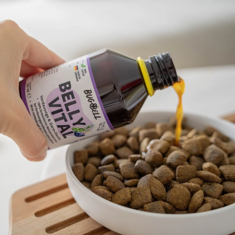 Tier Kost Welt Geschaft -Tier Kost Welt Geschaft